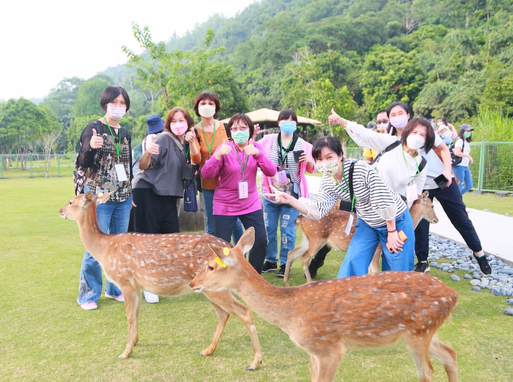 在逐鹿部落體驗餵鹿