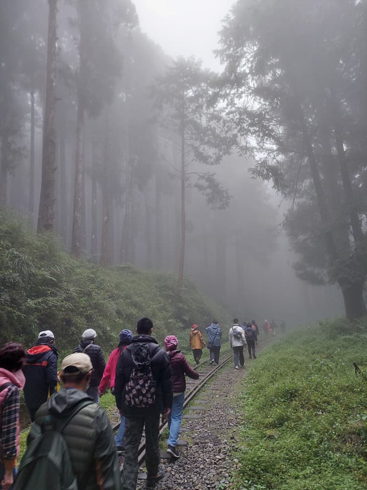 一起在霧中漫步水山步道
