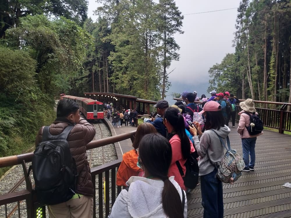 11月20日行程,郭盈良理事長帶領學員認識阿里山,在神木車站解說阿里山森林鐵路